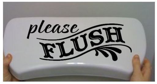 Please Flush Bathroom Vinyl Decal