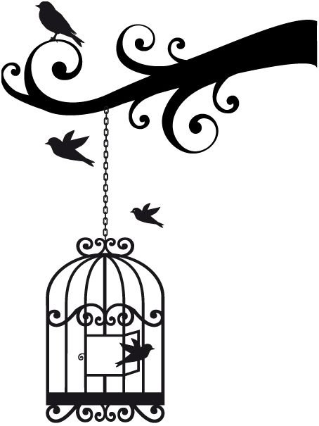 Bird Cage Vinyl Decal on Luulla